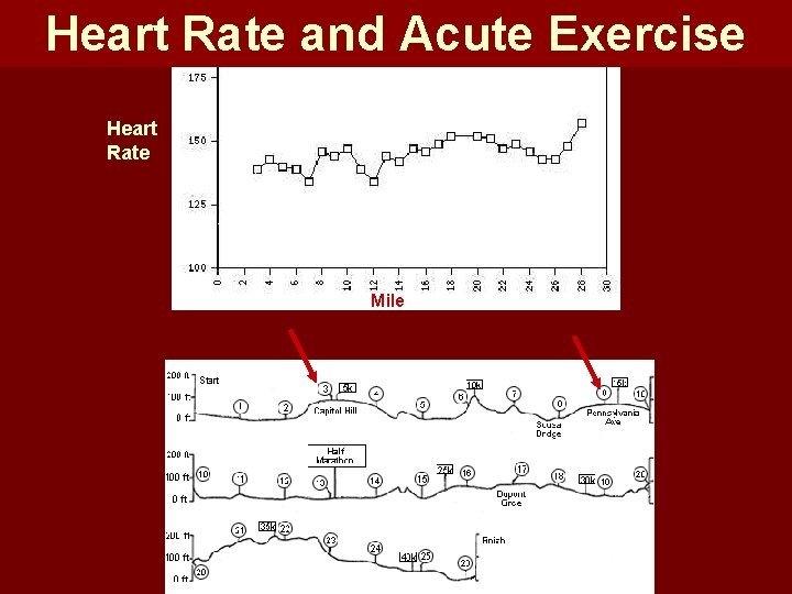 Heart Rate and Acute Exercise Heart Rate Mile 