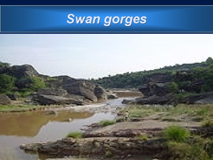 Swan gorges 