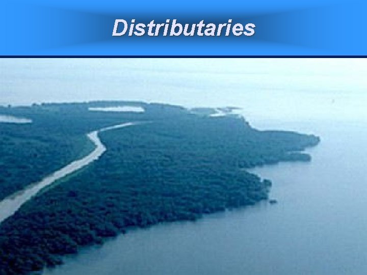 Distributaries 