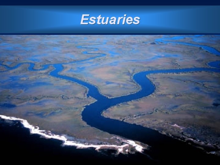 Estuaries 