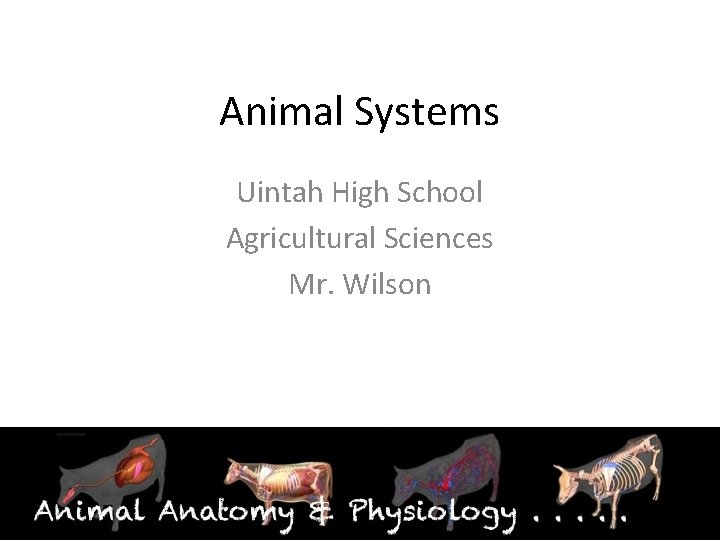 Animal Systems Uintah High School Agricultural Sciences Mr. Wilson 