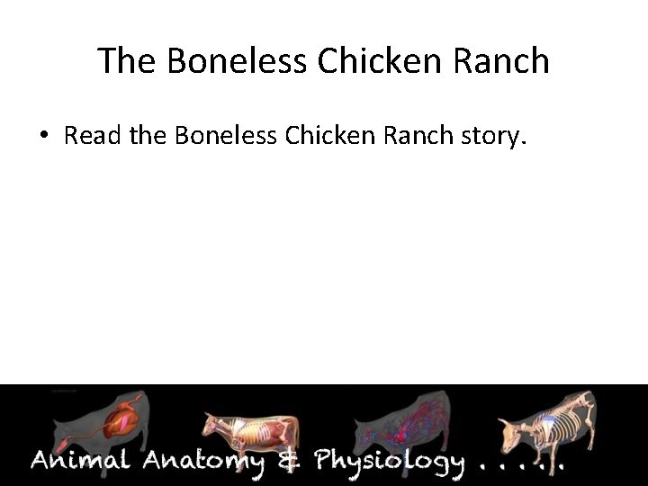 The Boneless Chicken Ranch • Read the Boneless Chicken Ranch story. 