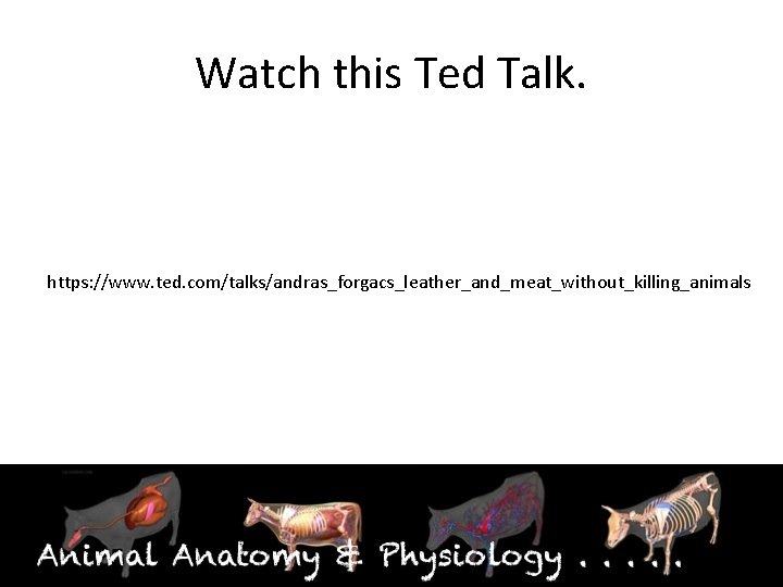 Watch this Ted Talk. https: //www. ted. com/talks/andras_forgacs_leather_and_meat_without_killing_animals 