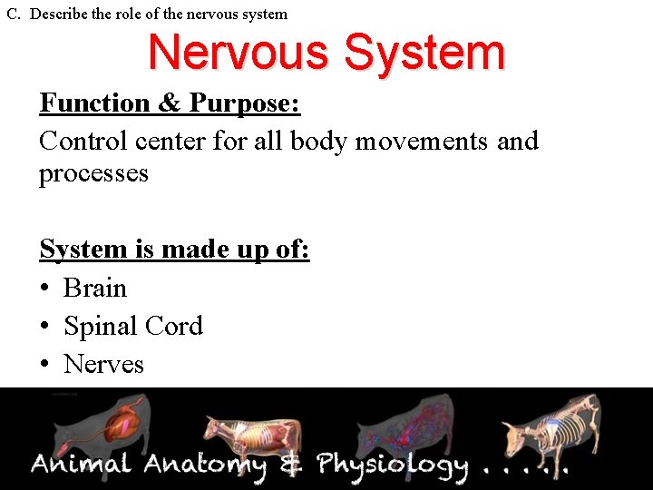 C. Describe the role of the nervous system Nervous System Function & Purpose: Control