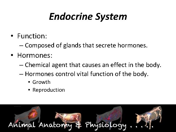 Endocrine System • Function: – Composed of glands that secrete hormones. • Hormones: –