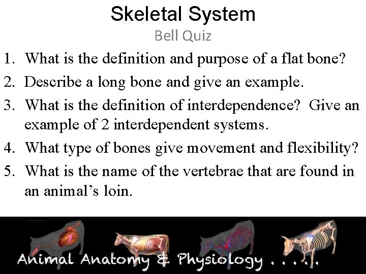 Skeletal System 1. 2. 3. 4. 5. Bell Quiz What is the definition and