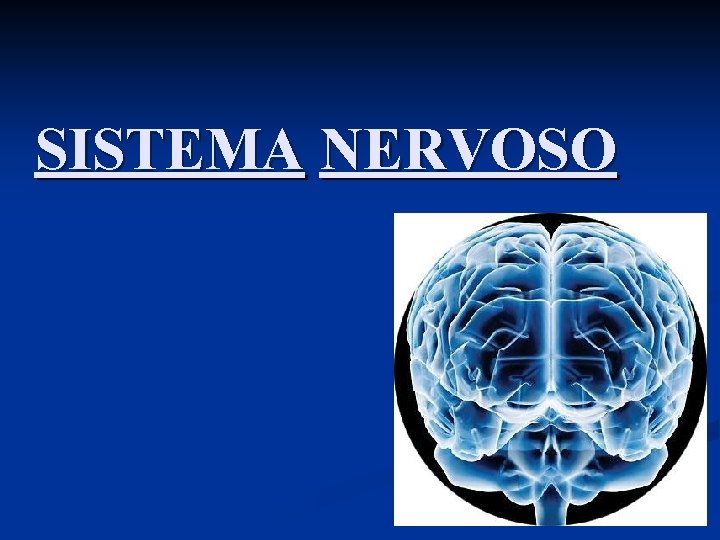 SISTEMA NERVOSO 