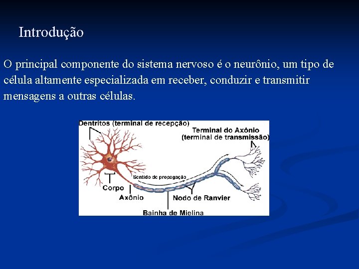 Introdução O principal componente do sistema nervoso é o neurônio, um tipo de célula