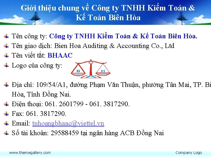 Giới thiệu chung về Công ty TNHH Kiểm Toán & Kế Toán Biên Hòa