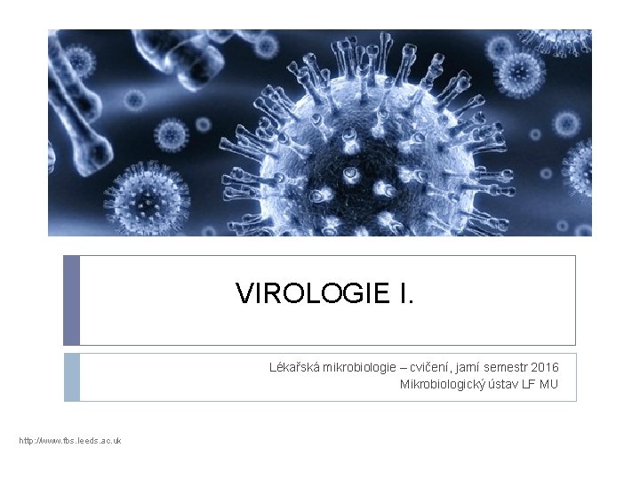 VIROLOGIE I. Lékařská mikrobiologie – cvičení, jarní semestr 2016 Mikrobiologický ústav LF MU http: