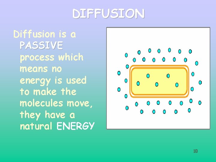 DIFFUSION Diffusion is a PASSIVE process which means no energy is used to make DIFFUSION Diffusion is a PASSIVE process which means no energy is used to make