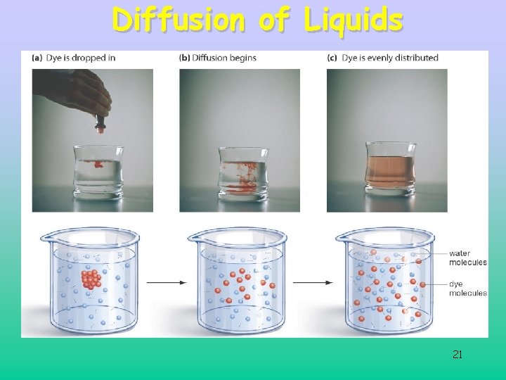 Diffusion of Liquids 21 Diffusion of Liquids 21