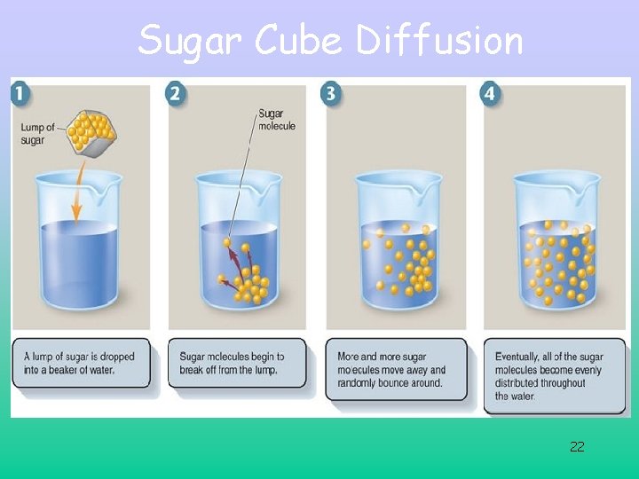 Sugar Cube Diffusion 22 Sugar Cube Diffusion 22