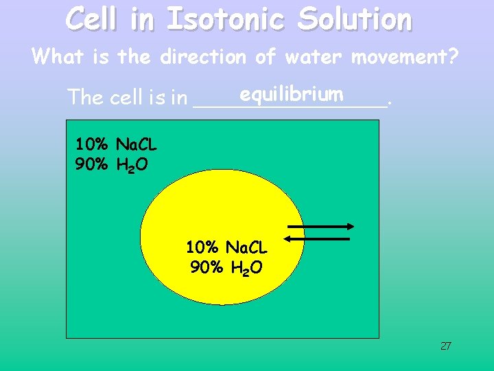 Cell in Isotonic Solution What is the direction of water movement? equilibrium The cell Cell in Isotonic Solution What is the direction of water movement? equilibrium The cell