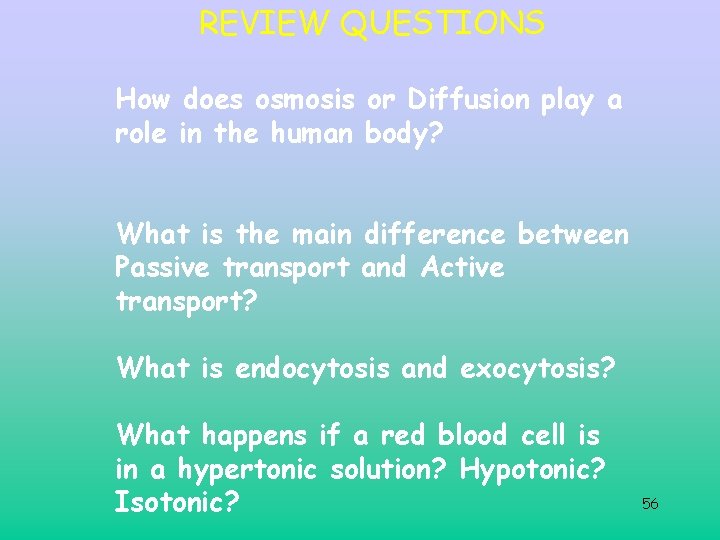 REVIEW QUESTIONS How does osmosis or Diffusion play a role in the human body? REVIEW QUESTIONS How does osmosis or Diffusion play a role in the human body?
