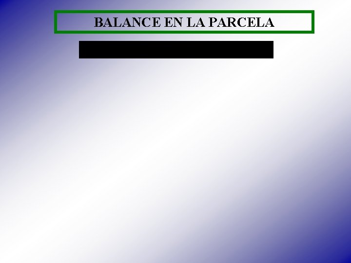 BALANCE EN LA PARCELA 