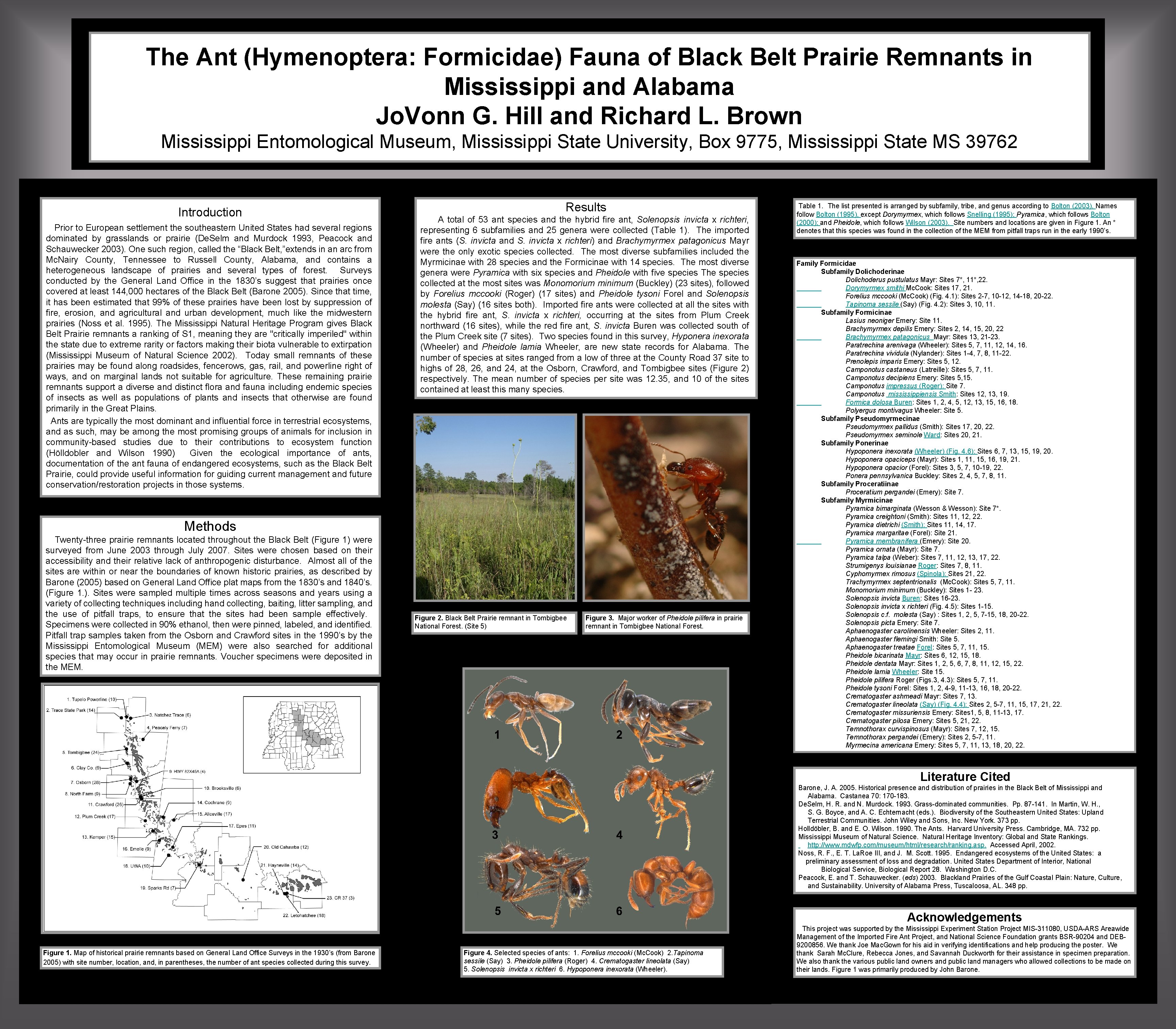 The Ant (Hymenoptera: Formicidae) Fauna of Black Belt Prairie Remnants in Mississippi and Alabama