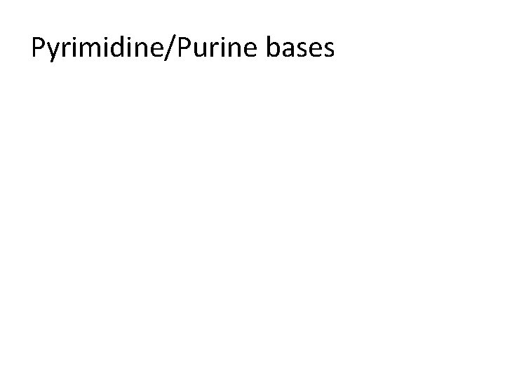 Pyrimidine/Purine bases 