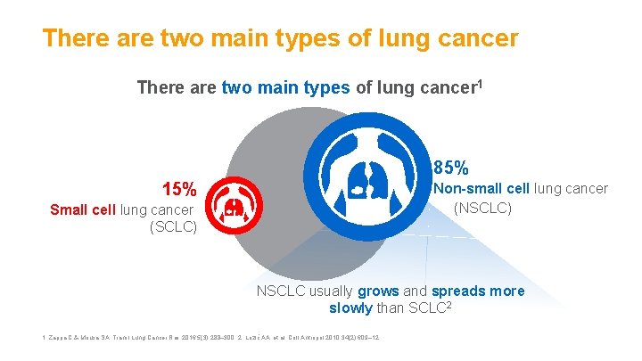 There are two main types of lung cancer 1 85% 15% Non-small cell lung