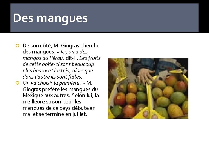 Des mangues De son côté, M. Gingras cherche des mangues. « Ici, on a