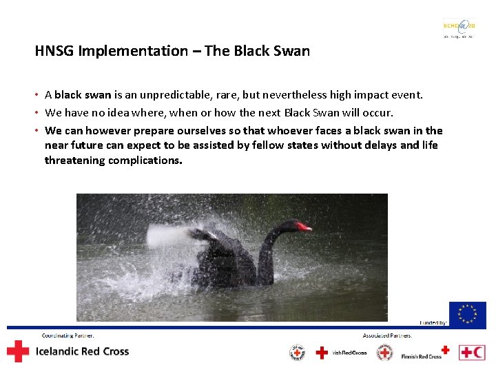 HNSG Implementation – The Black Swan • A black swan is an unpredictable, rare,
