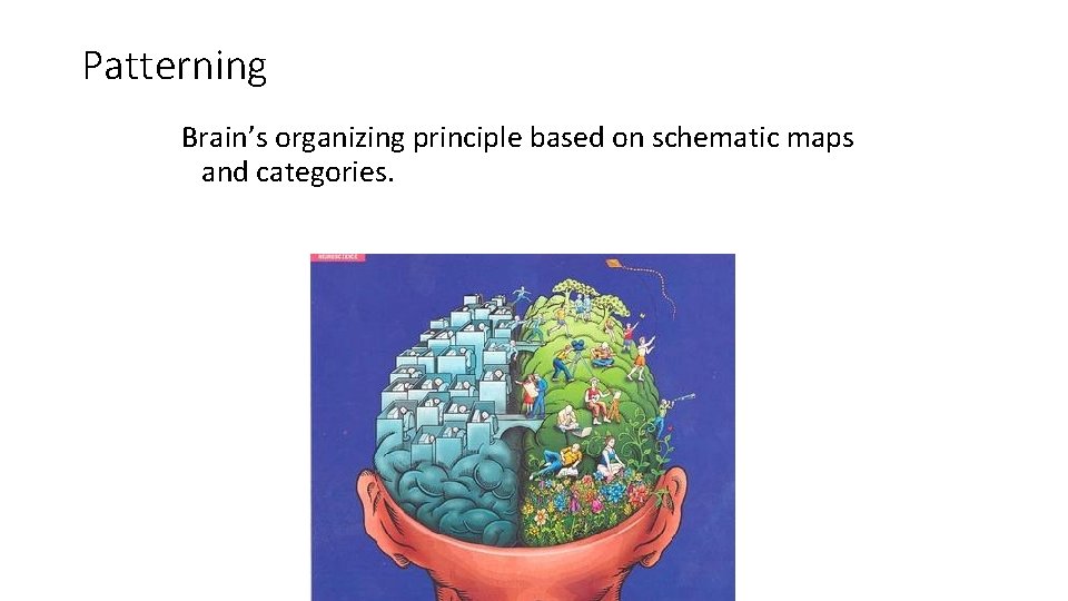 Patterning Brain’s organizing principle based on schematic maps and categories. 