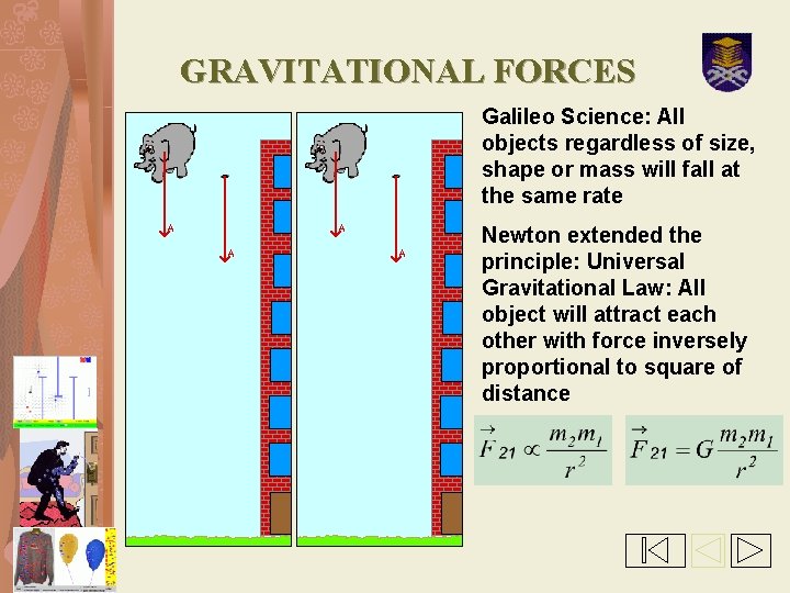 GRAVITATIONAL FORCES Galileo Science: All objects regardless of size, shape or mass will fall