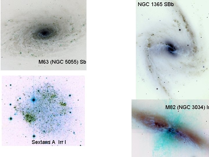 NGC 1365 SBb M 63 (NGC 5055) Sb M 82 (NGC 3034) Ir Sextans