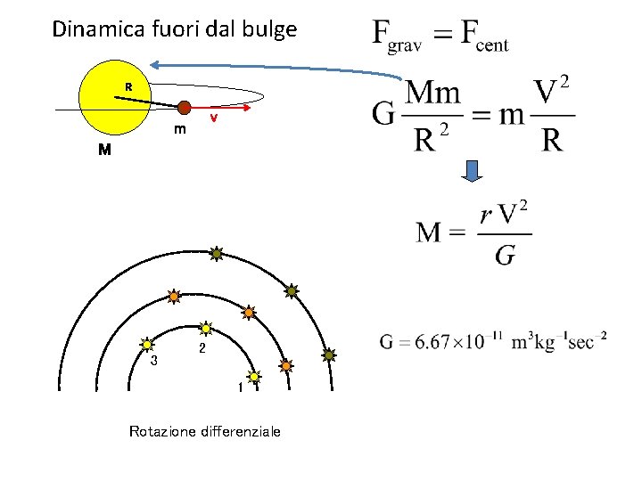 Dinamica fuori dal bulge R V m M 3 2 1 Rotazione differenziale 