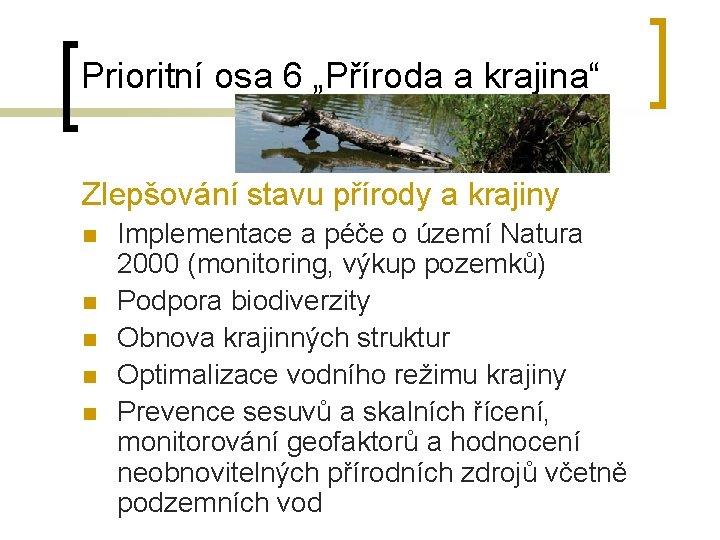 Prioritní osa 6 „Příroda a krajina“ Zlepšování stavu přírody a krajiny n n n