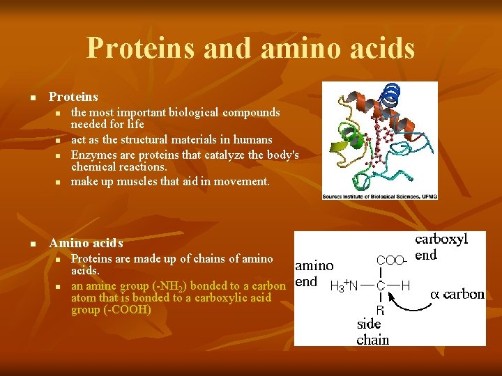 Proteins and amino acids n Proteins n n n the most important biological compounds