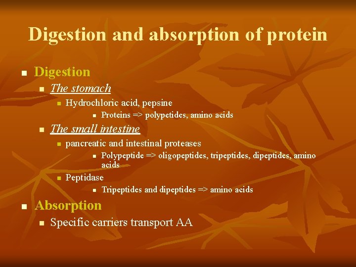 Digestion and absorption of protein n Digestion n The stomach n Hydrochloric acid, pepsine