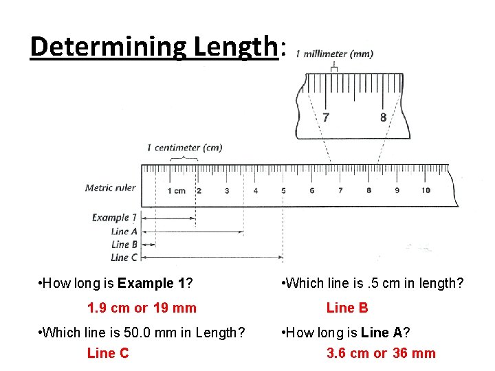 Determining Length: • How long is Example 1? 1. 9 cm or 19 mm