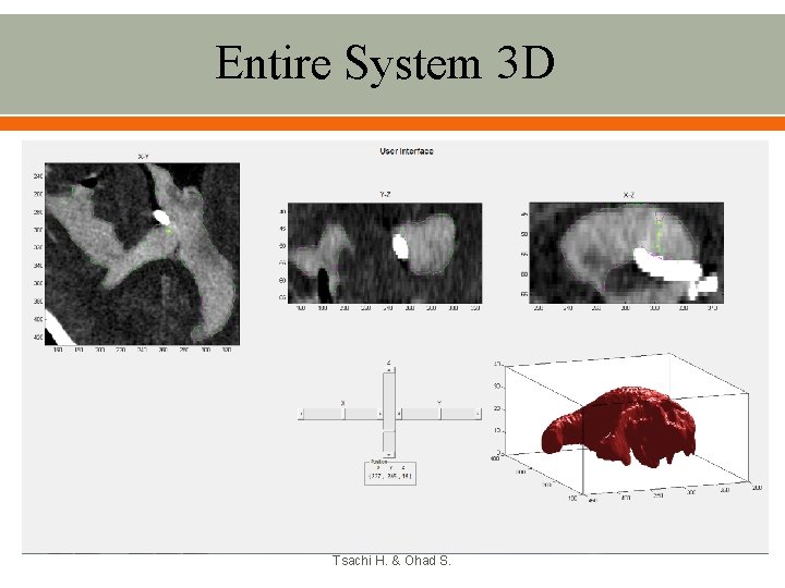 Entire System 3 D Tsachi H. & Ohad S. 