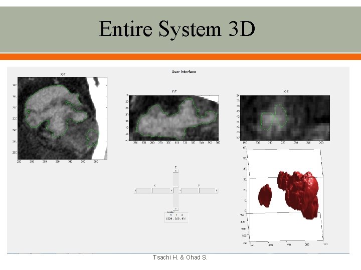 Entire System 3 D Tsachi H. & Ohad S. 