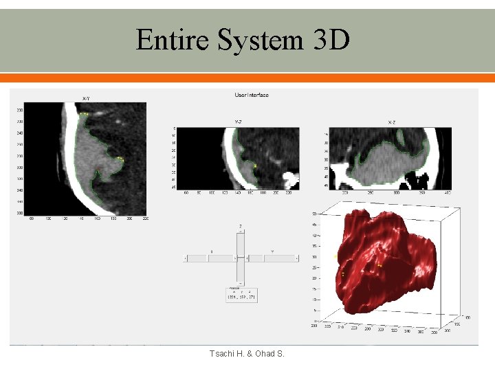 Entire System 3 D Tsachi H. & Ohad S. 