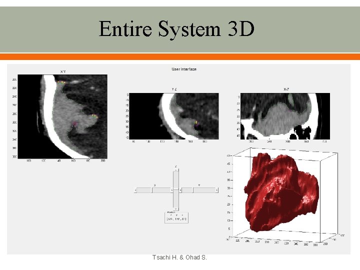 Entire System 3 D Tsachi H. & Ohad S. 