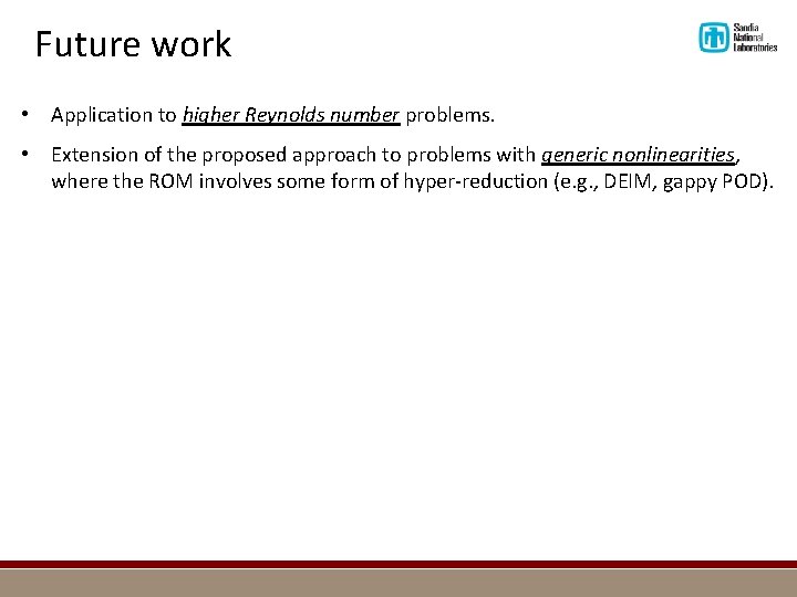Future work • Application to higher Reynolds number problems. • Extension of the proposed