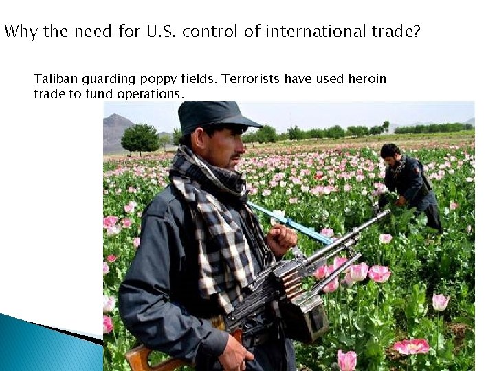 Why the need for U. S. control of international trade? Taliban guarding poppy fields.
