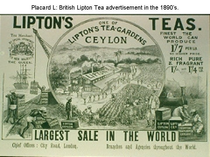 Placard L: British Lipton Tea advertisement in the 1890’s. 