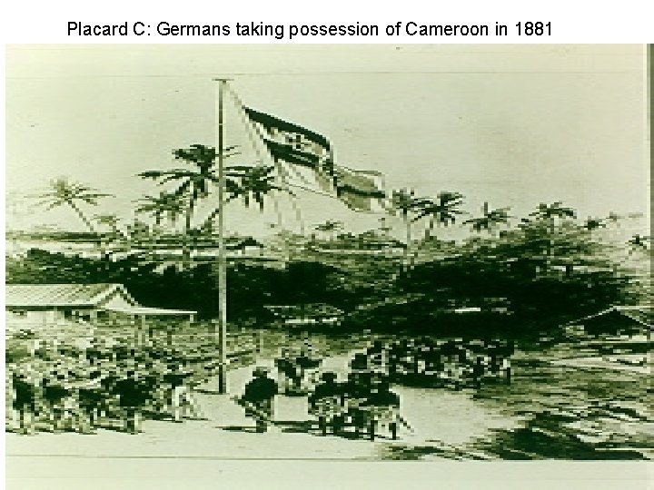 Placard C: Germans taking possession of Cameroon in 1881 