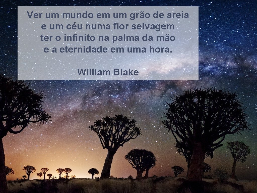 Ver um mundo em um grão de areia e um céu numa flor selvagem