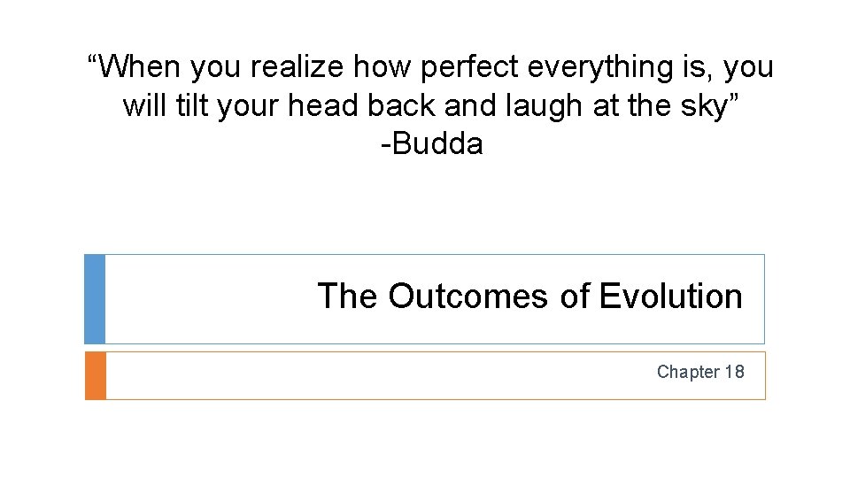 “When you realize how perfect everything is, you will tilt your head back and