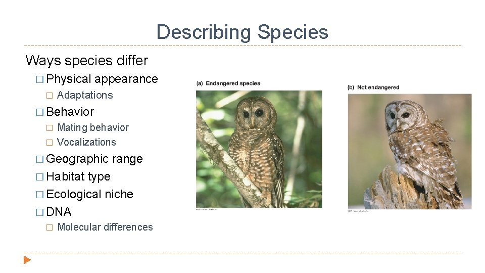 Describing Species Ways species differ � Physical � appearance Adaptations � Behavior � �