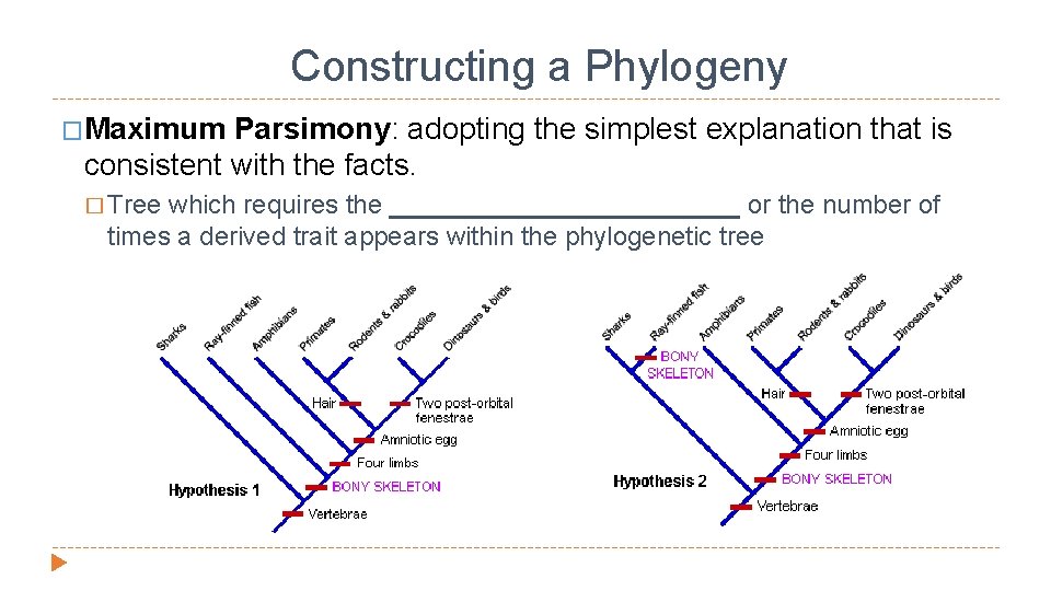 Constructing a Phylogeny �Maximum Parsimony: adopting the simplest explanation that is consistent with the