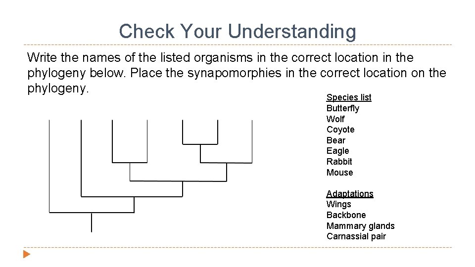 Check Your Understanding Write the names of the listed organisms in the correct location