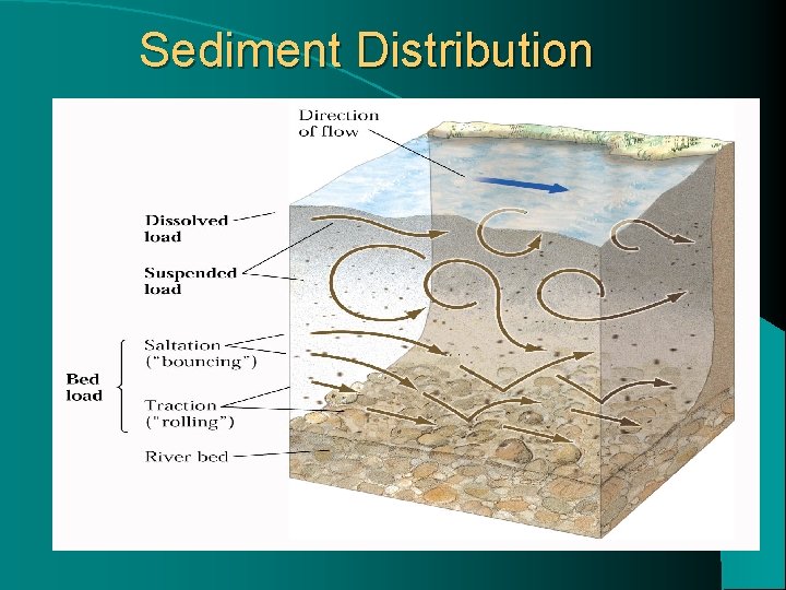 Sediment Distribution 