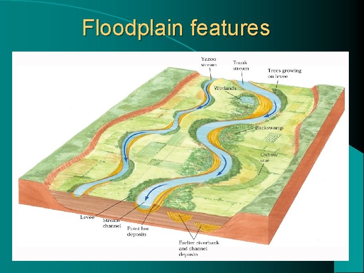 Floodplain features 