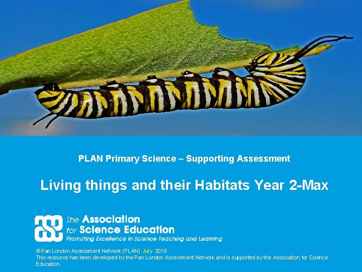 PLAN Primary Science – Supporting Assessment Living things and their Habitats Year 2 -Max