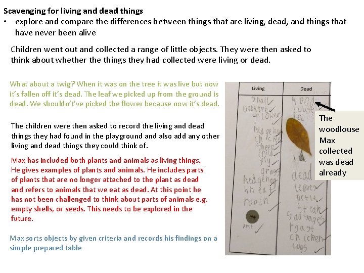 Scavenging for living and dead things • explore and compare the differences between things